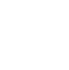 Paw Feet